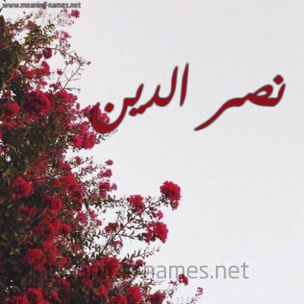 شكل 18 صوره الورد الأحمر للإسم بخط رقعة صورة اسم نصر الدين NASR-EDDINE